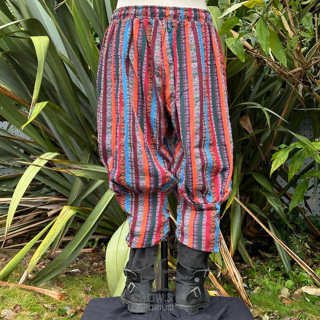 Back view of striped multi-color Viking pants with elastic waistband and pockets.